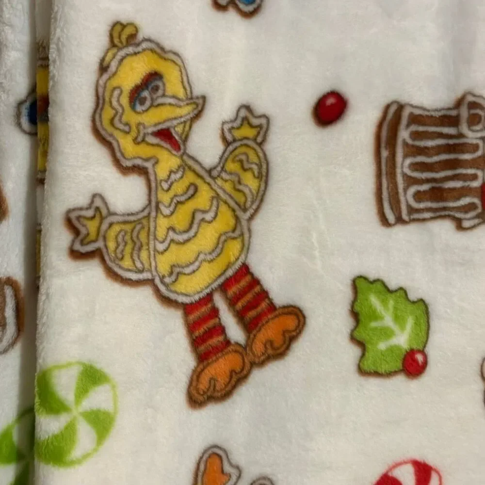 Sesame Street Viral Gingerbread Cookie Blanket Cookie Monster Elmo Oscar NWT